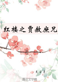 红楼之贾赦庶兄txt