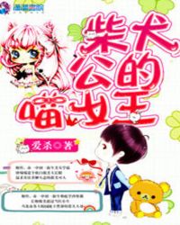 柴犬公的叫什么名字好