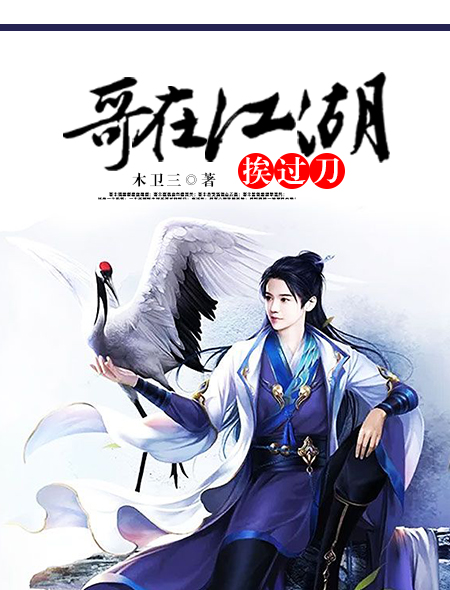 b哥人在江湖3