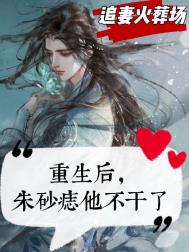 朱砂痣他不干了百度网盘