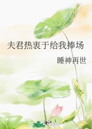 夫君给我负责到底 小说