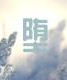 堕胎药的药名叫什么