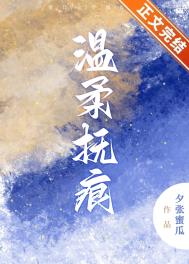 温柔抚痕 txt