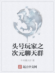 头号玩家 b站