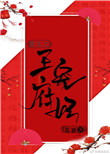 王府宠妃全文阅读