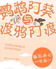 鹦鹉阿葵与渡鸦阿渡小说