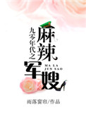 九零年代之麻辣军嫂txt网盘