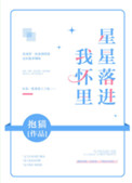 小说星星落进我怀里