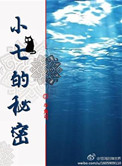 小七的秘密小说