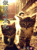 傲慢与傲娇小说