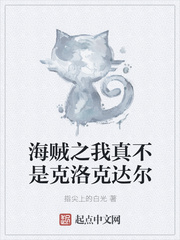 海贼之我真不是克洛克达尔