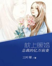枕上婚宠:总裁追妻忙不停